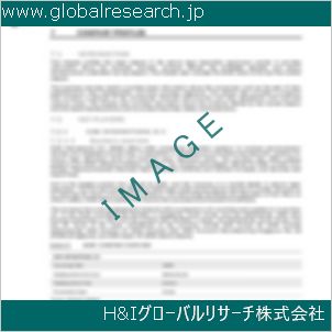 グローバルリサーチ調査資料のイメージ